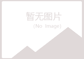 麻山区夏岚美容有限公司